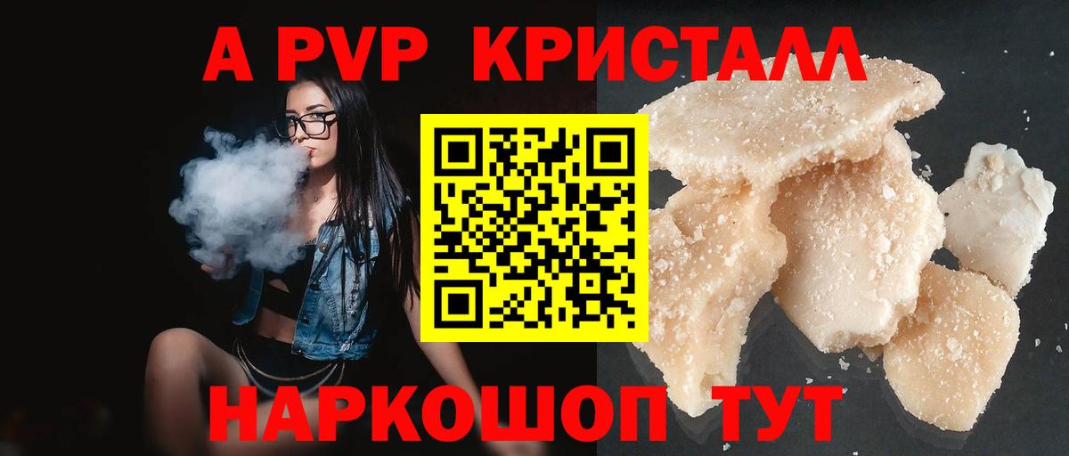 Alfa_PVP СК Лесной